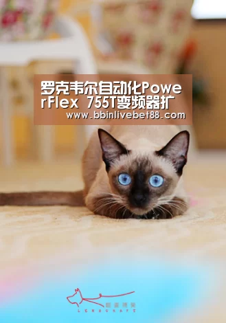 罗克韦尔自动化PowerFlex 755T变频器扩充TotalFORCE功能 增大功率范围-BBIN足球(图1) BBIN电子