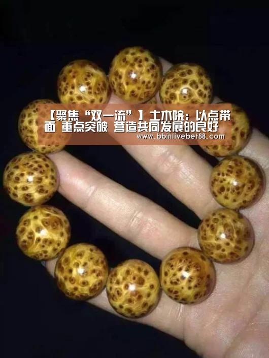 BBIN足球