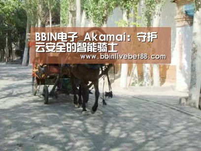 BBIN下载