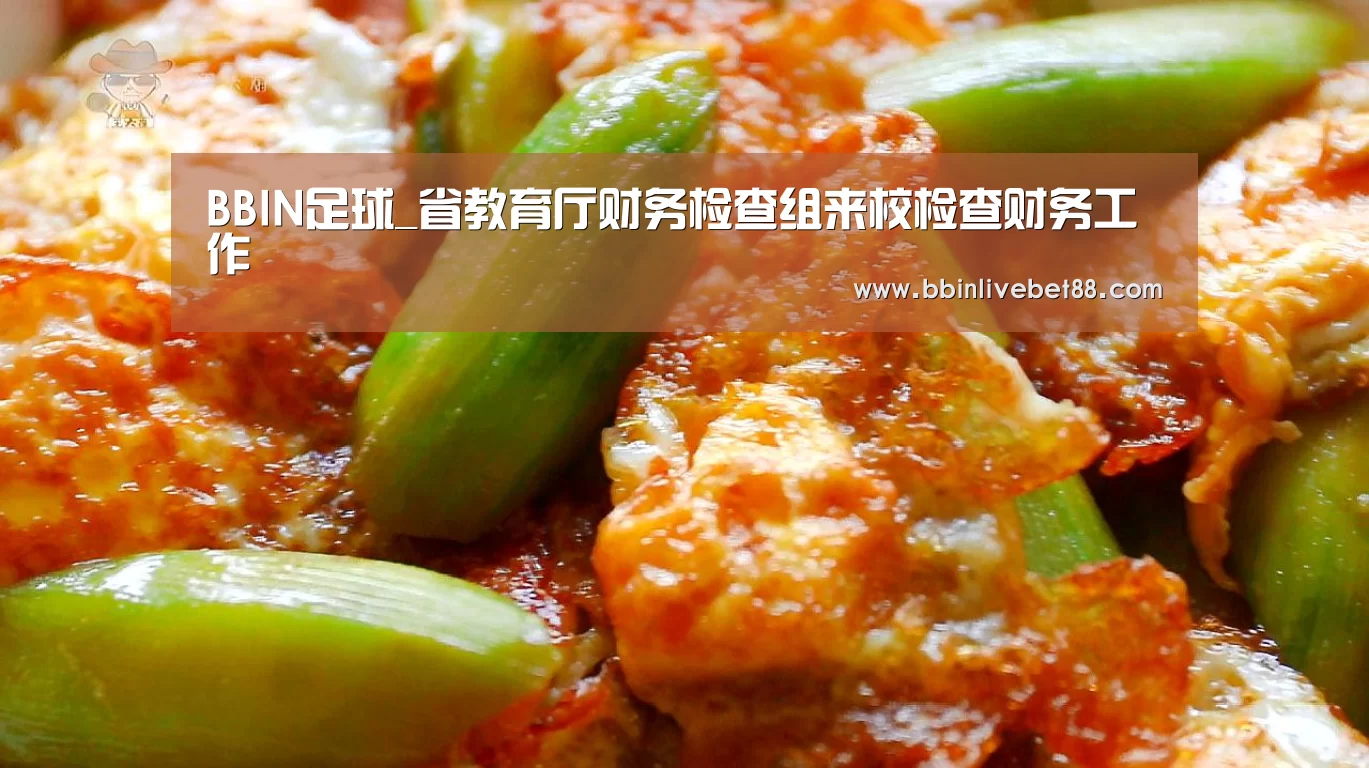 BBIN足球_省教育厅财务检查组来校检查财务工作(图4) BBIN下载