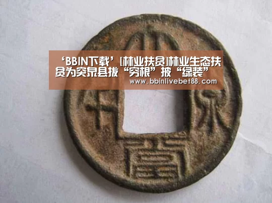 BBIN视讯