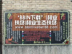 BBIN下载