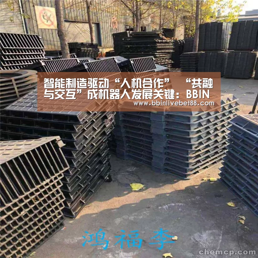 BBIN下载