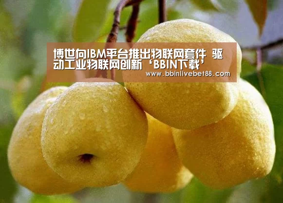 博世向IBM平台推出物联网套件 驱动工业物联网创新‘BBIN下载’(图1) BBIN视讯