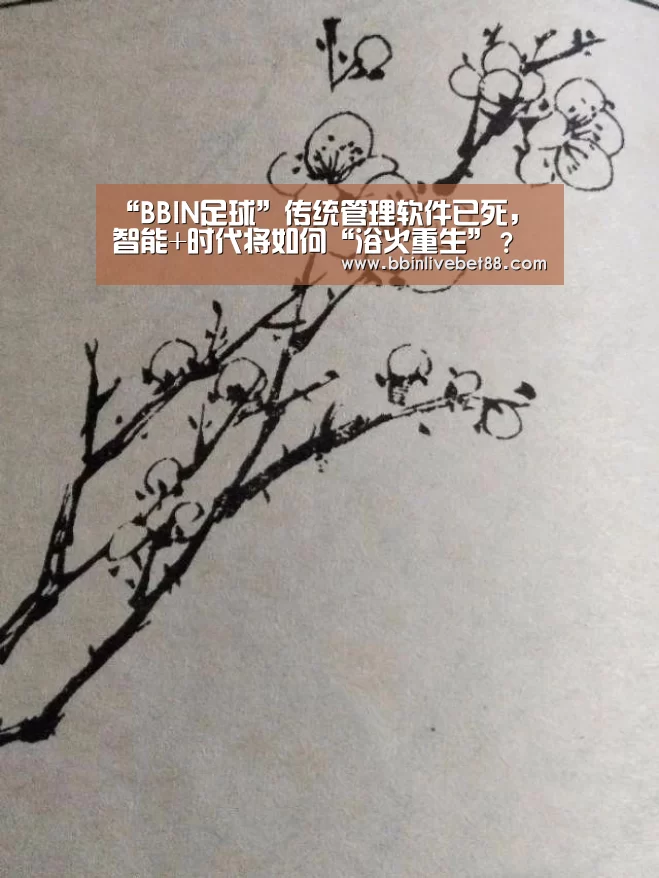 “BBIN足球”传统管理软件已死,智能+时代将如何“浴火重生”?(图2) BBIN电子