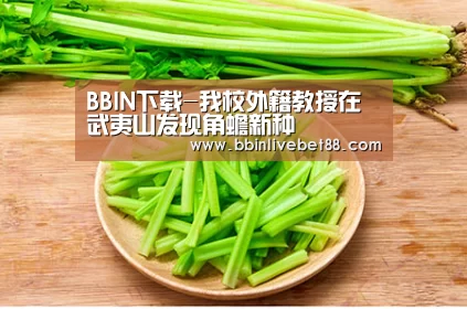 BBIN下载-我校外籍教授在武夷山发现角蟾新种(图4) BBIN下载