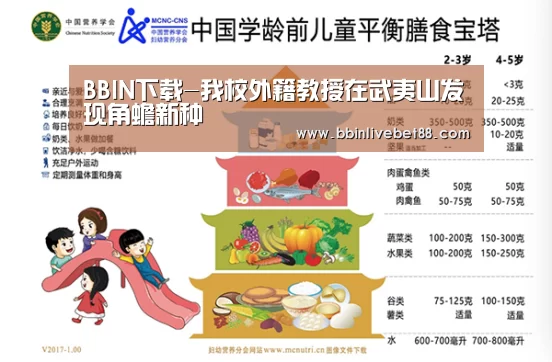 BBIN下载-我校外籍教授在武夷山发现角蟾新种(图2) BBIN电子
