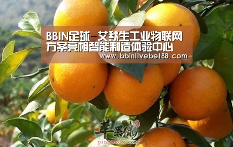 BBIN足球-艾默生工业物联网方案亮相智能制造体验中心(图3) BBIN足球