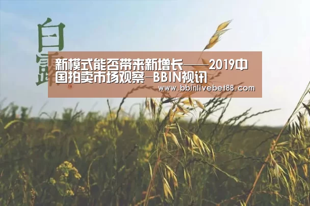 新模式能否带来新增长——2019中国拍卖市场观察-BBIN视讯(图1) BBIN下载