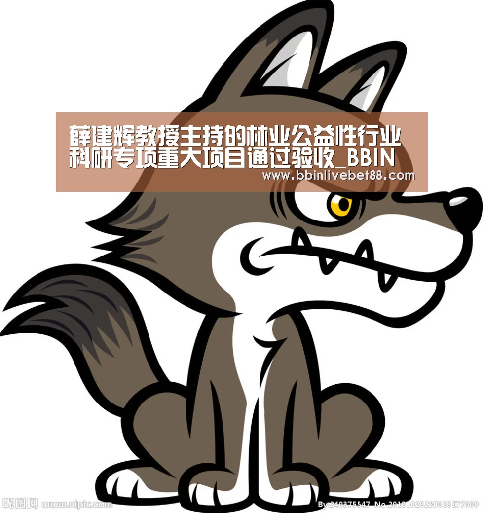 BBIN足球