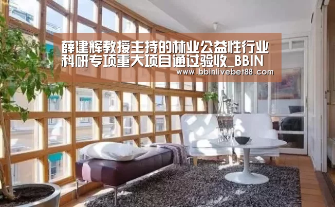 BBIN下载