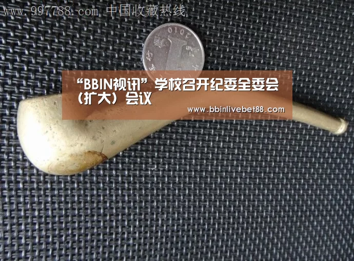 “BBIN视讯”学校召开纪委全委会(扩大)会议(图1) BBIN视讯
