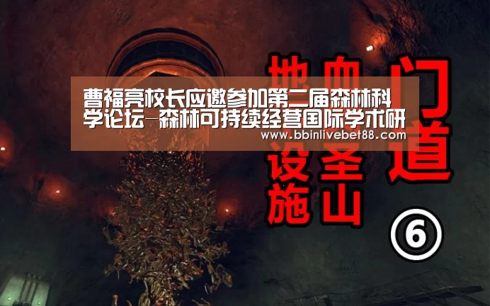 BBIN足球