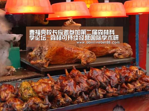 BBIN下载