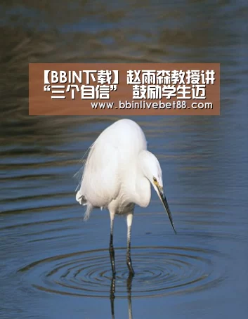 BBIN下载